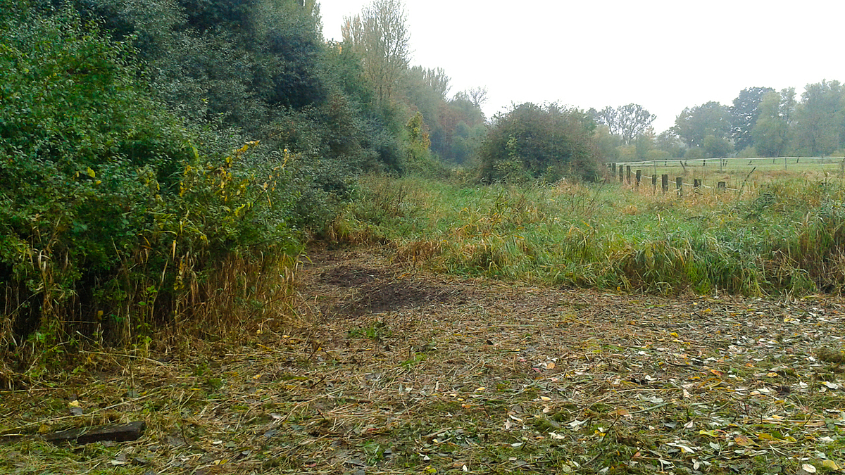 Foto: temporär wasserführenden Kleingewässers im Landschaftsschutzgebiet „Obere Leine“.