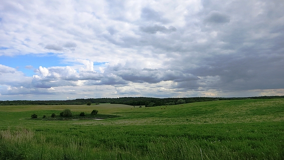 Photo: View over the Schorfheide.