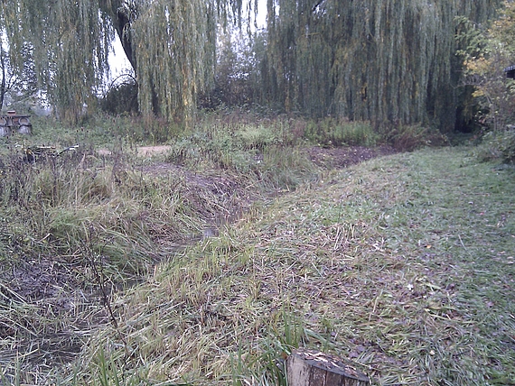 Photo: Section of the Bade after the measures.