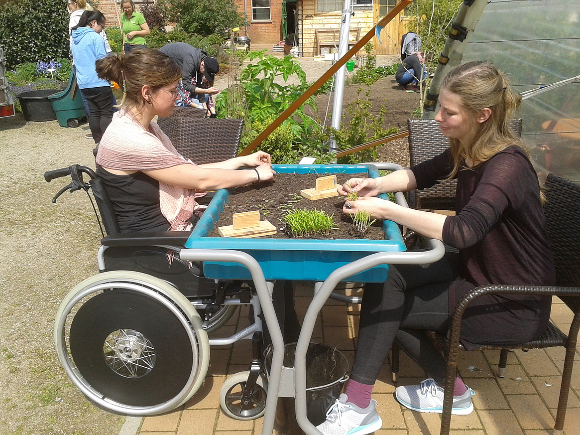 Photo: Students try out pricking from a wheelchair at a planting table that can be wheeled under.