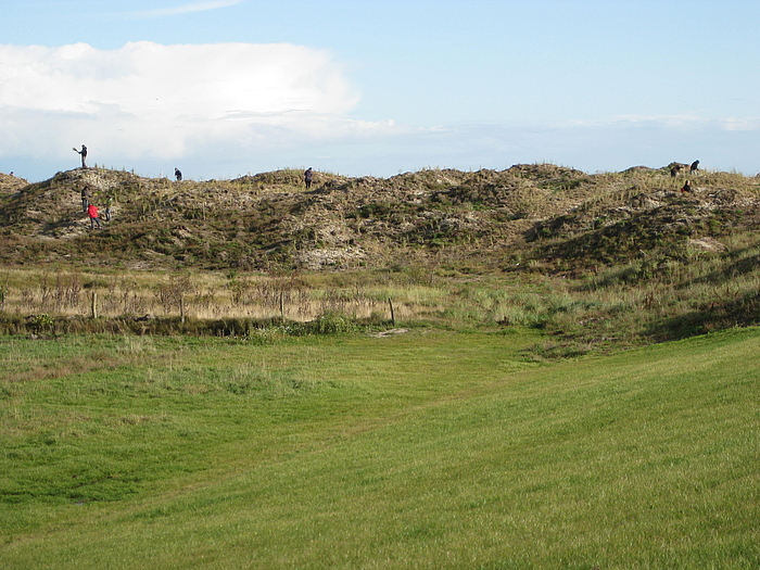 Photo: Students standing in the dunes.