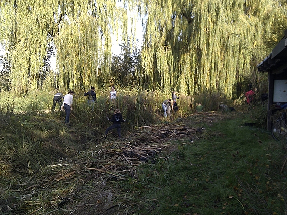 Photo: The watercourse is weeded and cleared.