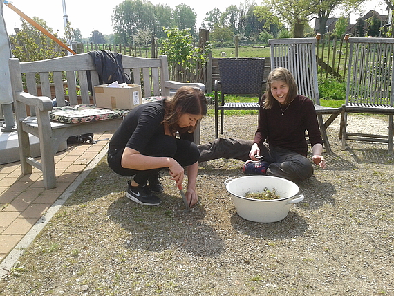 Photo: Beds, paths and squares in the therapy garden are weeded.